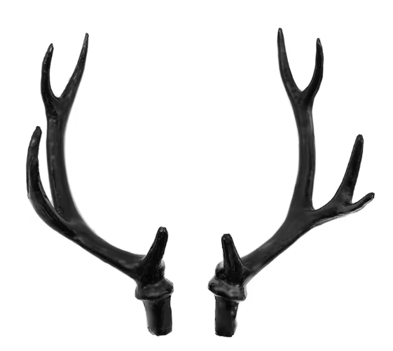 Deer Antlers