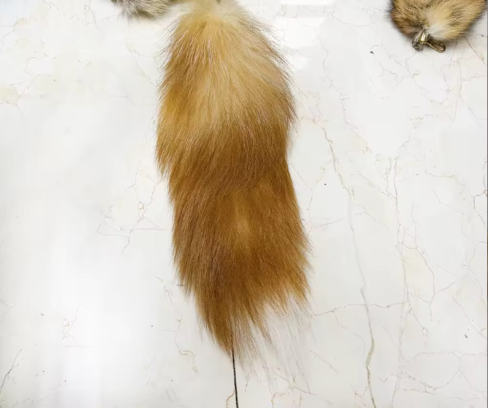 Long brown fur tail on a light beige background
