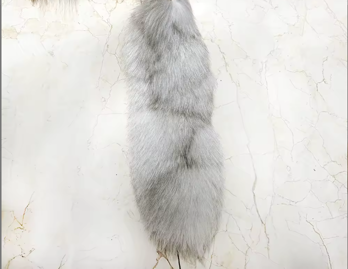 Realistic gray fox tail on a light beige background