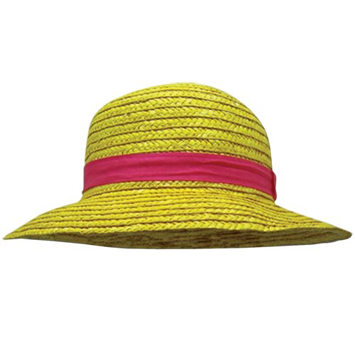Monkey D Luffy hat