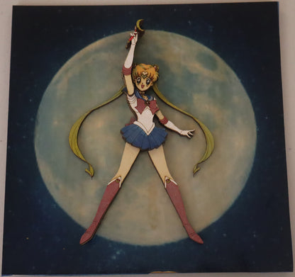 Sailor Moon Wall art