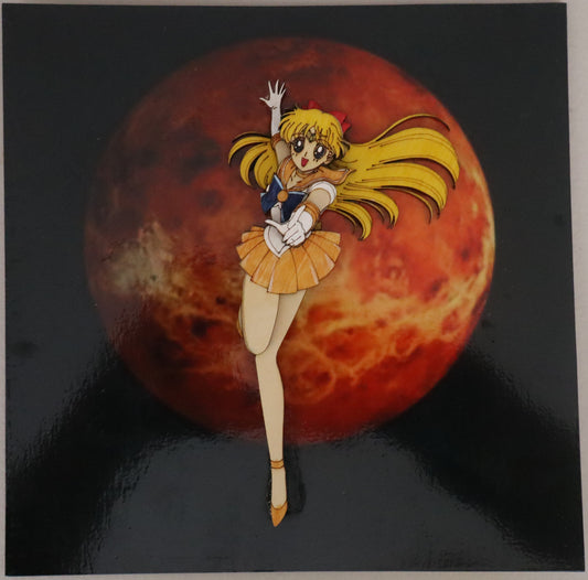 Sailor Venus Wall art