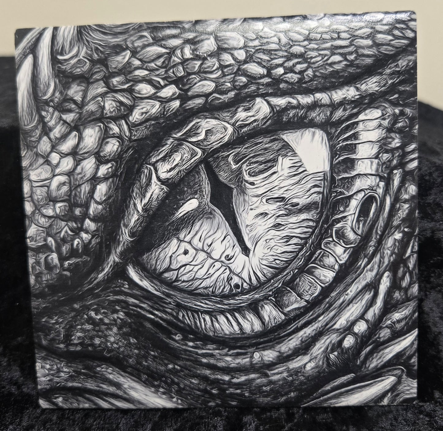 Dragon Eye Coaster