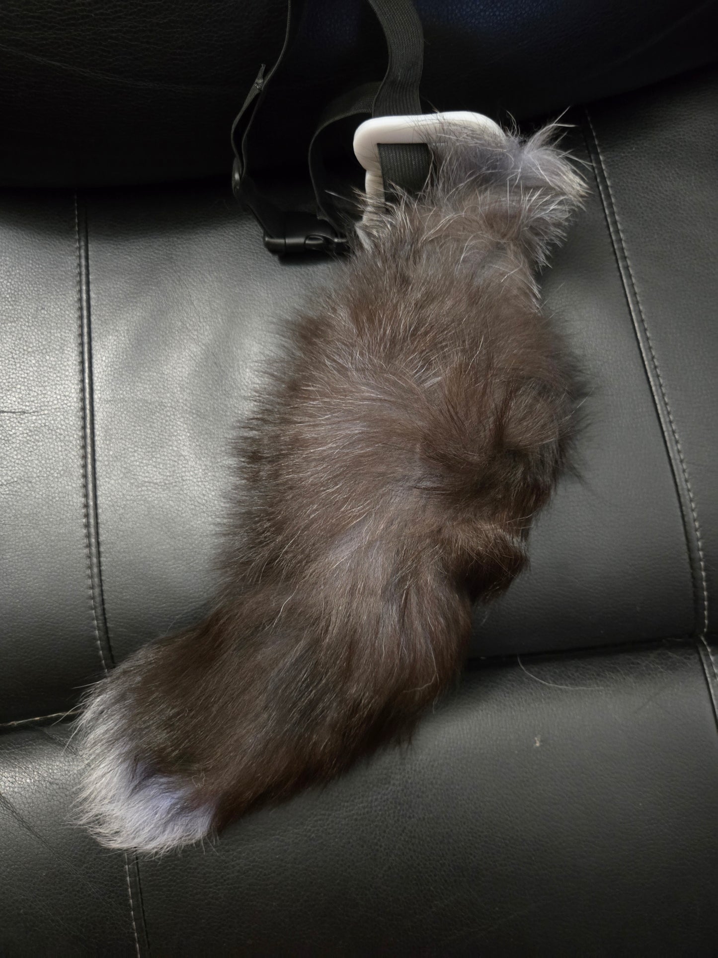 Fox Tails Poseable with Belt